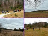 Piękno krajobrazu przedborskiego