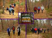 Wspinamy się na nasz szczyt