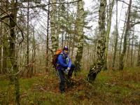 A to ja w brzezinie...