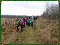 Wędrujemy... wędrujemy...