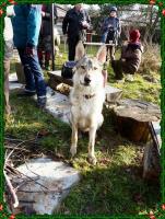 Baldi też uczestniczył w naszej wigilii