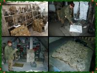 Pracownia SŁAWKA MICKA