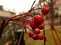 ... to juz koniec naszego spacerku;-)))