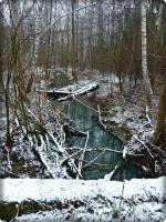 Docieramy do rzeczki o pięknej nazwie: CHOTCZA