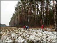Podobno przebiegały tu sarny... zanim się zebrałam z aparatem zostało po nich wspomnienie...