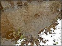 Zamarzazające bąbelki wyglądały urokliwie