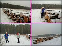 A tu lanse przy pniaczkach