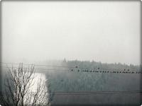 To też widoczek na Telegraf...  do zobaczenia w Nowym Roku kochani...