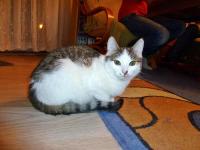 Jako ostatnia przybyła do nas AZJA