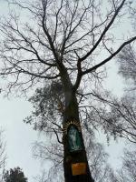 Docieramy na Górę Strużną