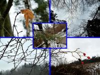 Zimowo- jesienne klimaty