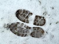 Hmm... znajdujemy tropy