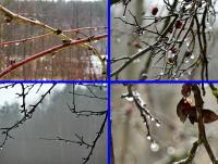 Kropelkowy świat...