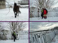 XXV Rajd Zimowy PTTK Końskie- zima przyszła jak na zamówienie