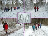 XXV Rajd Zimowy PTTK Końskie- zima przyszła jak na zamówienie