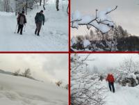 Na wędrownym szlaku