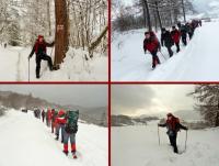 Na wędrownym szlaku