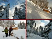 Wyjazd Klubu Górskiego w Beskid Sądecki- druga odsłona