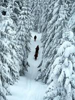 Wyjazd Klubu Górskiego w Beskid Sądecki- druga odsłona