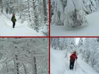 Wyjazd Klubu Górskiego w Beskid Sądecki- druga odsłona