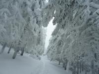 Wyjazd Klubu Górskiego w Beskid Sądecki- druga odsłona