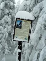Wyjazd Klubu Górskiego w Beskid Sądecki- druga odsłona