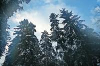 Wyjazd Klubu Górskiego w Beskid Sądecki- druga odsłona