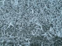 Gwiazdeczki na lodzie