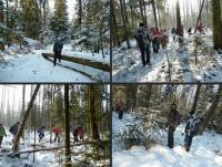 ... idziemy przez zamarznięte bagna