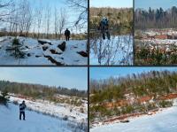 Docieramy do koaplni Baranów