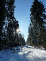 Z Zalezianki do Zagnańska- niedzielna wycieczka "Przygody"