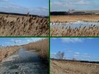 Piękne widoczki na Ponidziu