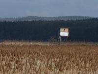 Ambona w drugiej odsłonie