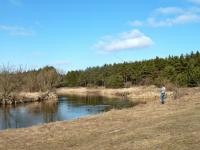 Dochodzimy do pięknego zakola Nidy- czy rybki biorą panie kolego???;-))))