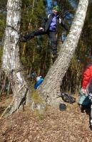 Nie wiedzieć czemu wlazłam pomiędzy pnie brzozy.... 