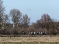 A grupa tymczasem coraz dalej- w oddali widzimy ruiny zamku w Mokrsku