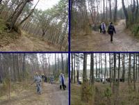 Wchodzimy do lasu- jestesmy u podnóża Zalasnej