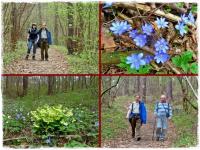 Bogactwo "kwiecia wszelakiego" w lesie;-)))