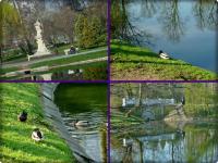 22 kwietnia- wiosenny poranek w parku