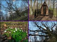 Spacerek wokół "Bartka"