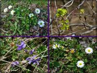 Jak zwykle odrobina przyrody:-))