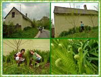 Majowa wędrówka i nabożeństwo majowe KTP 'Przygoda"