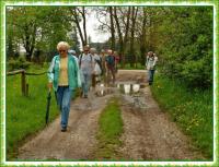 Majowa wędrówka i nabożeństwo majowe KTP 'Przygoda"