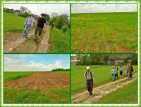 Majowa wędrówka i nabożeństwo majowe KTP 'Przygoda"