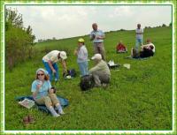 Majowa wędrówka i nabożeństwo majowe KTP 'Przygoda"