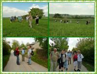 Majowa wędrówka i nabożeństwo majowe KTP 'Przygoda"