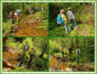 Majowa wędrówka i nabożeństwo majowe KTP 'Przygoda"