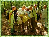 Majowa wędrówka i nabożeństwo majowe KTP 'Przygoda"