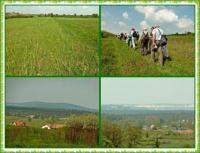 Majowa wędrówka i nabożeństwo majowe KTP 'Przygoda"