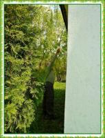 Majowa wędrówka i nabożeństwo majowe KTP 'Przygoda"